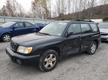  Salvage Subaru Forester