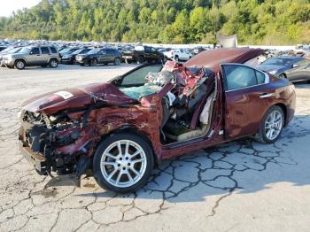  Salvage Nissan Maxima