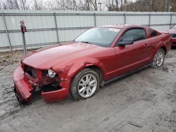  Salvage Ford Mustang