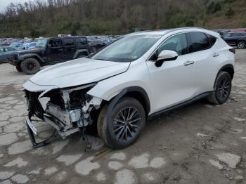  Salvage Lexus NX