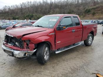  Salvage Ford F-150