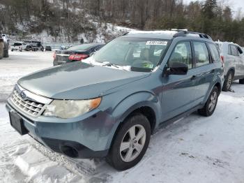  Salvage Subaru Forester