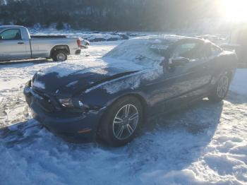  Salvage Ford Mustang