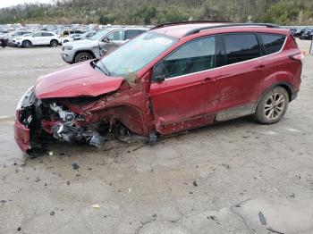  Salvage Ford Escape