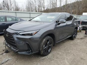  Salvage Lexus NX