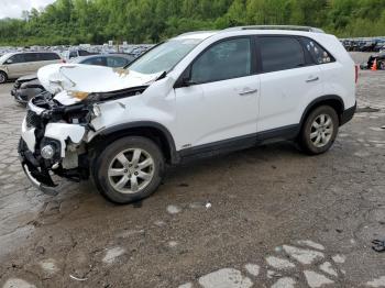  Salvage Kia Sorento