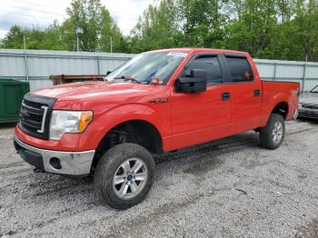  Salvage Ford F-150