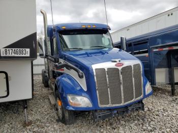  Salvage Peterbilt 379
