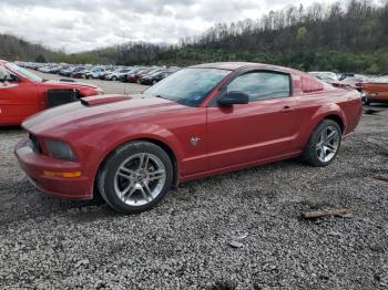  Salvage Ford Mustang
