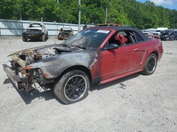  Salvage Ford Mustang