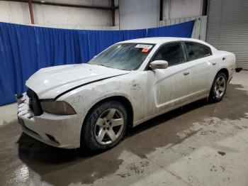  Salvage Dodge Charger