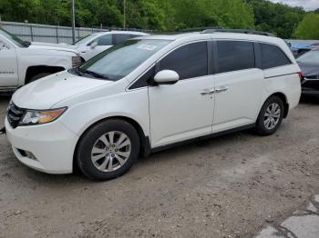  Salvage Honda Odyssey