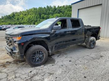  Salvage Chevrolet Silverado K1500 Trail Bos