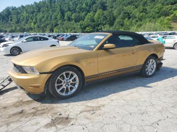  Salvage Ford Mustang