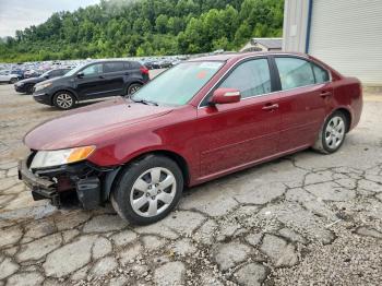  Salvage Kia Borrego