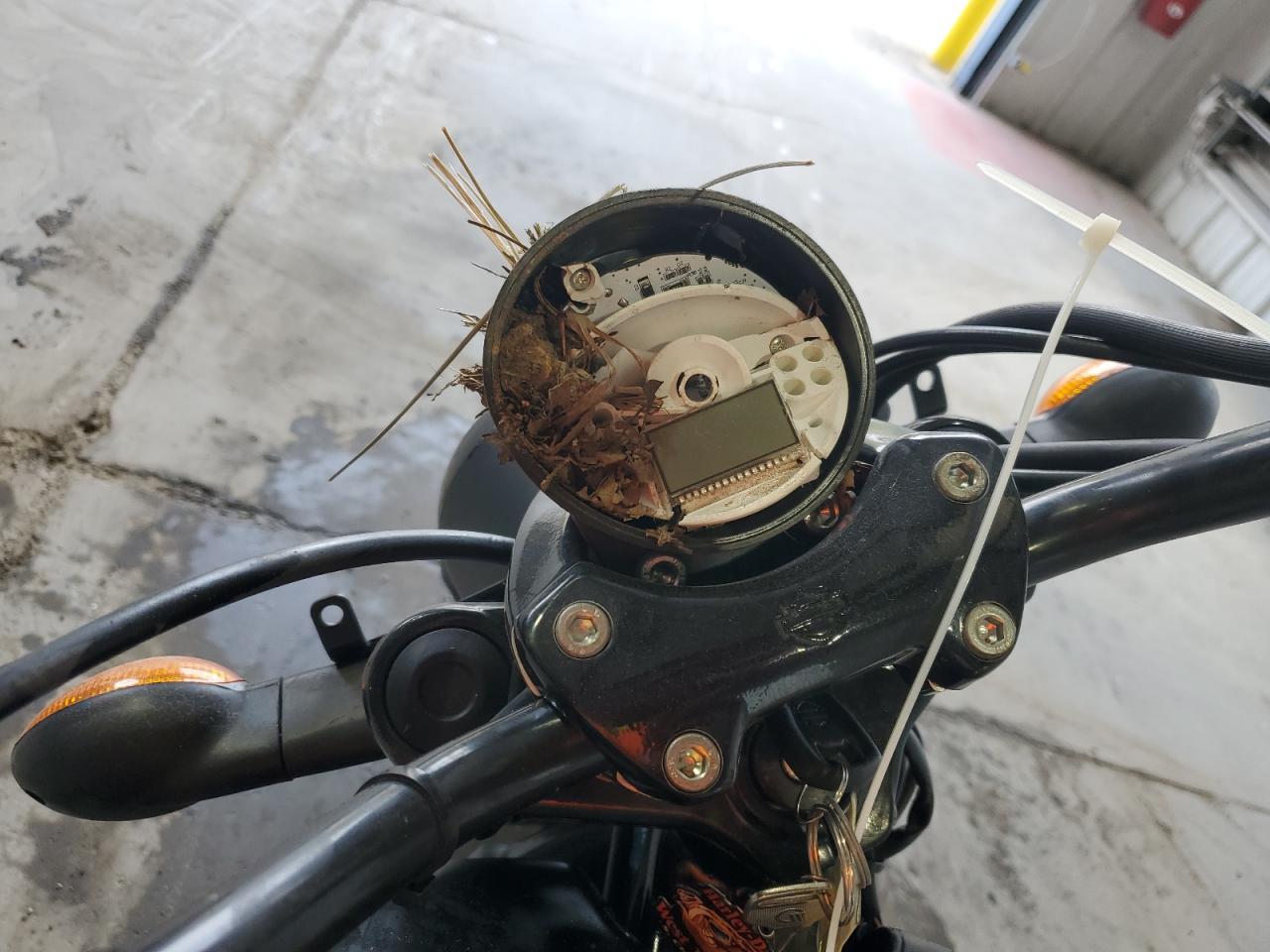 Harley-Davidson Xg Image 8