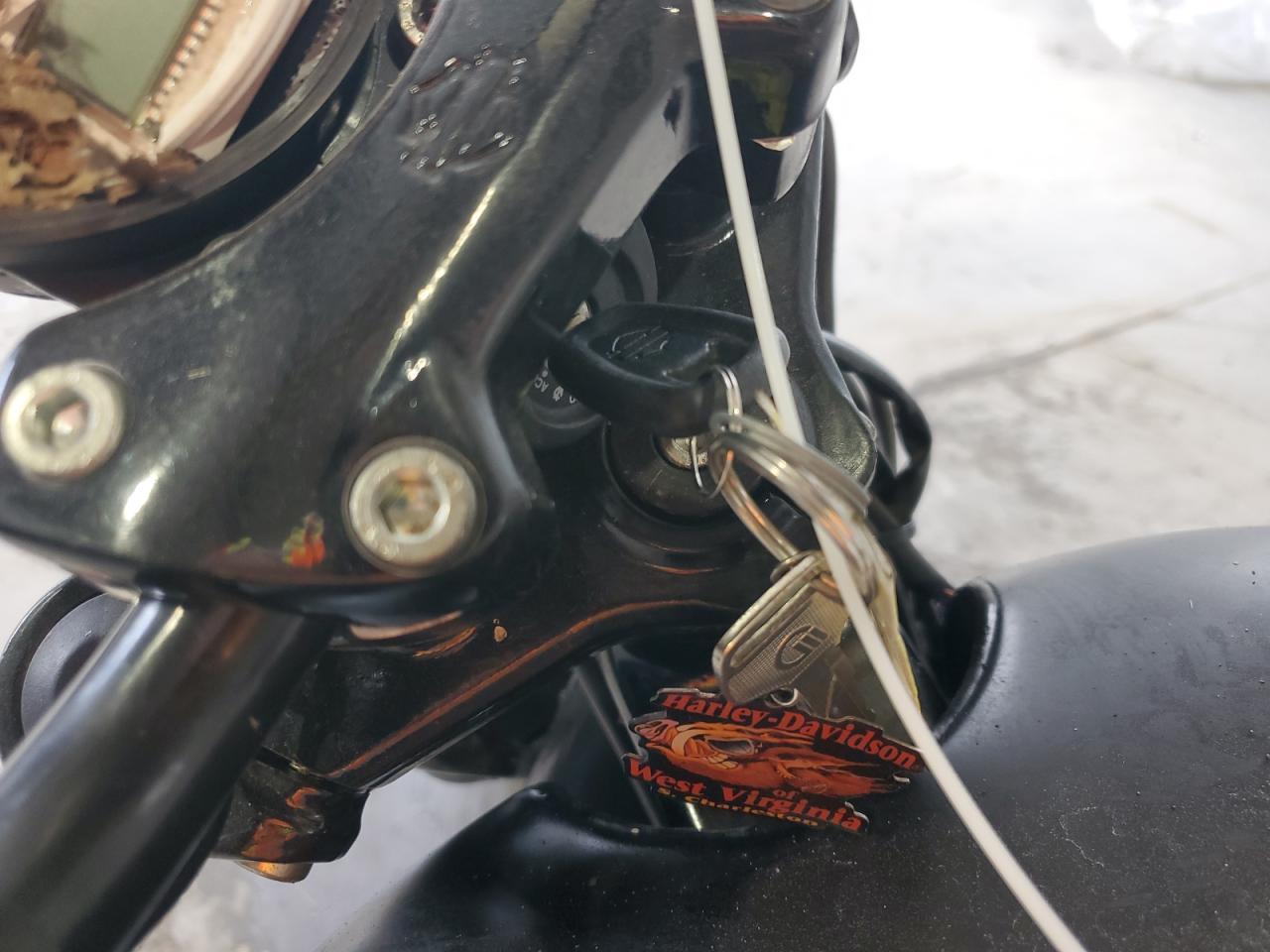 Harley-Davidson Xg Image 6