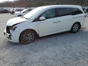  Salvage Honda Odyssey