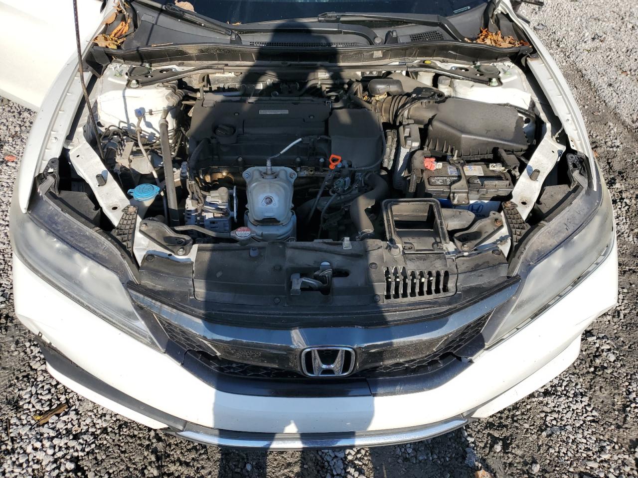 Honda Accord Lx-s Image 12