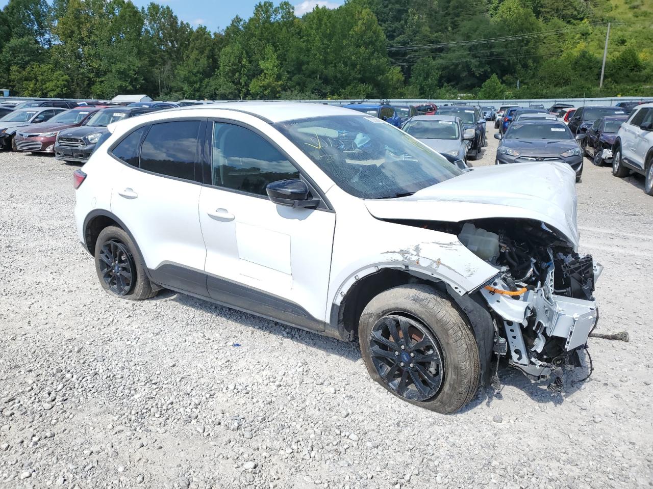 Ford Escape Se Sport Image 2