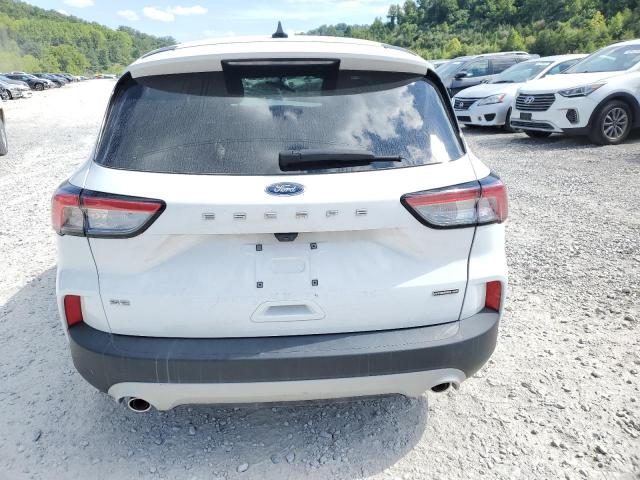 Ford Escape Se Sport Image 10