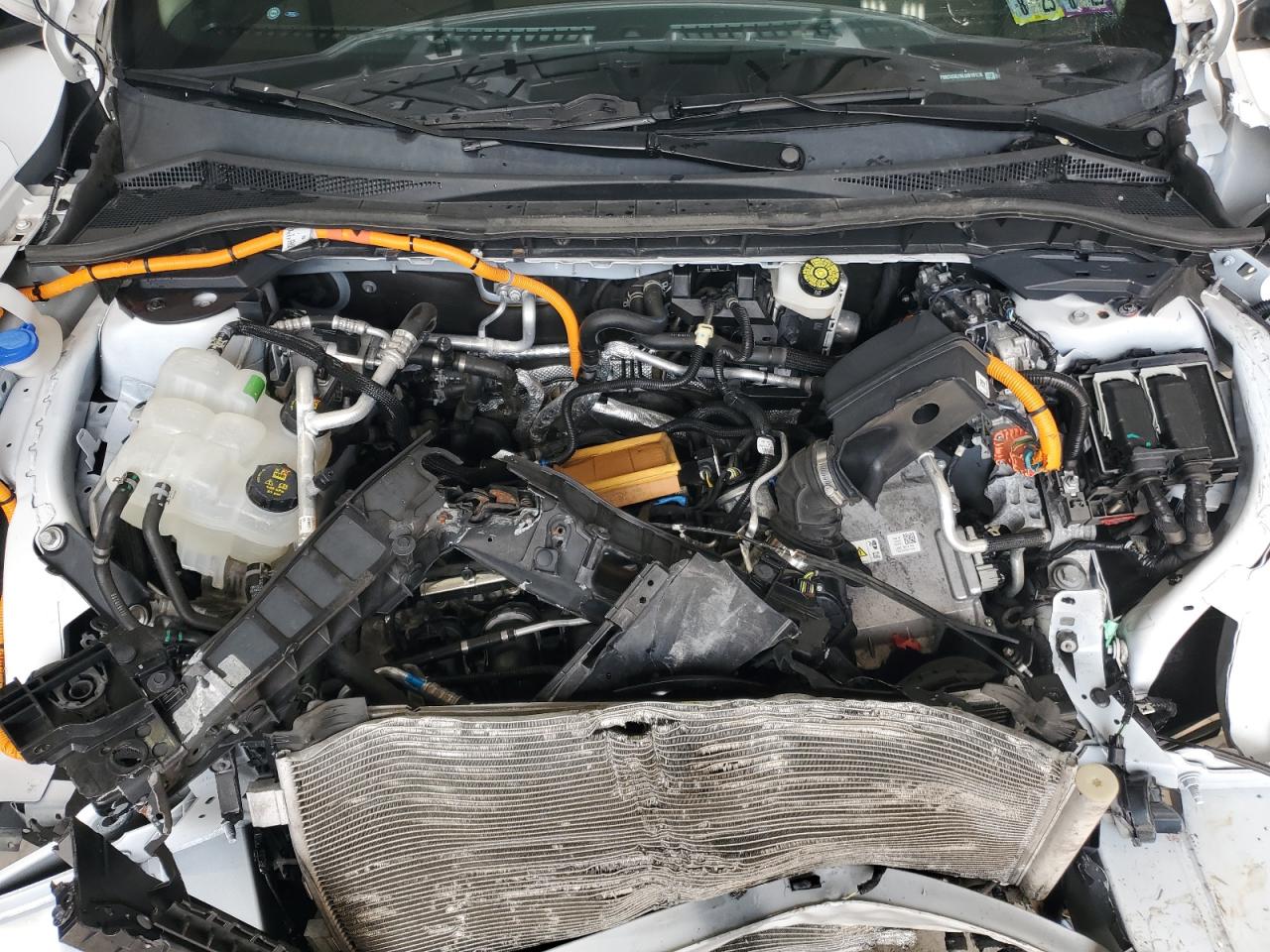 Ford Escape Se Sport Image 9