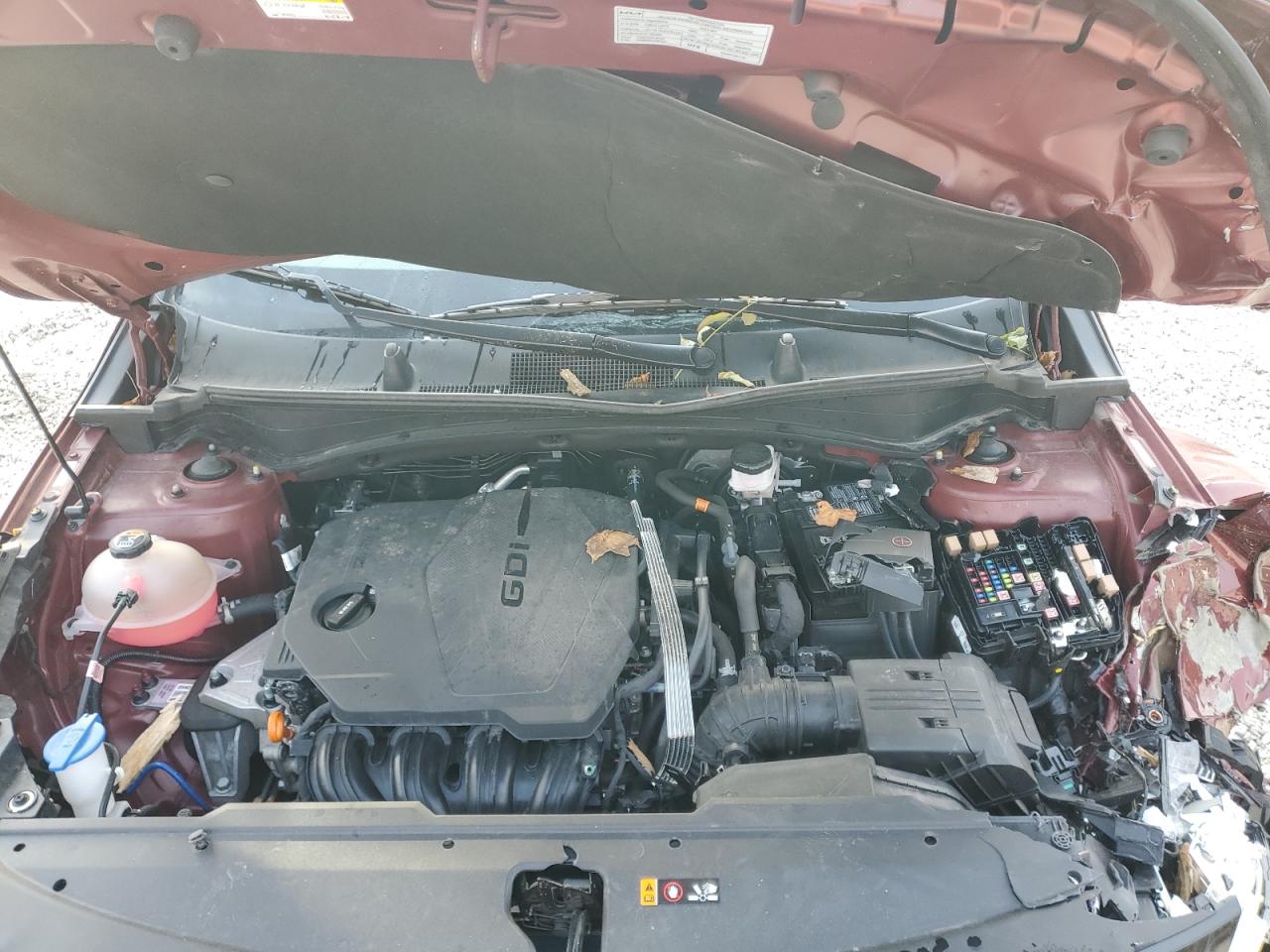 Kia Sportage X Line Image 8