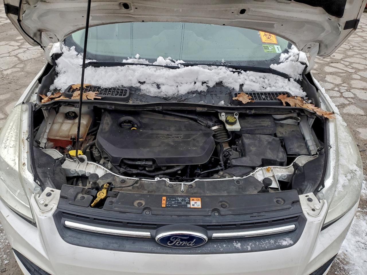 Ford Escape Se Image 13