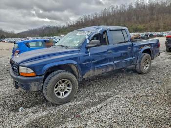  Salvage Dodge Dakota