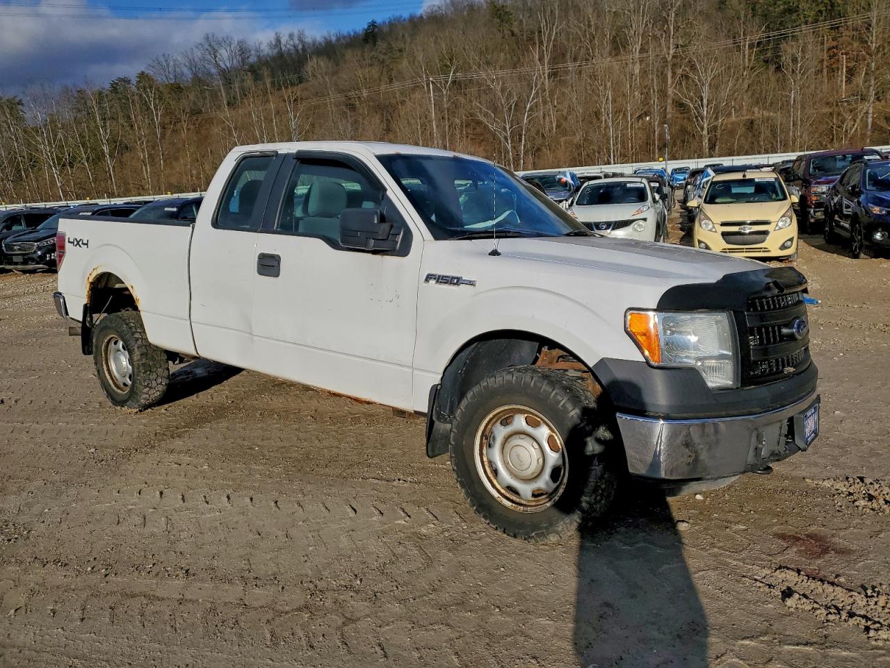 Ford F-150 Super Cab Image 4