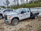 Ford F-250 Super Duty Image 1