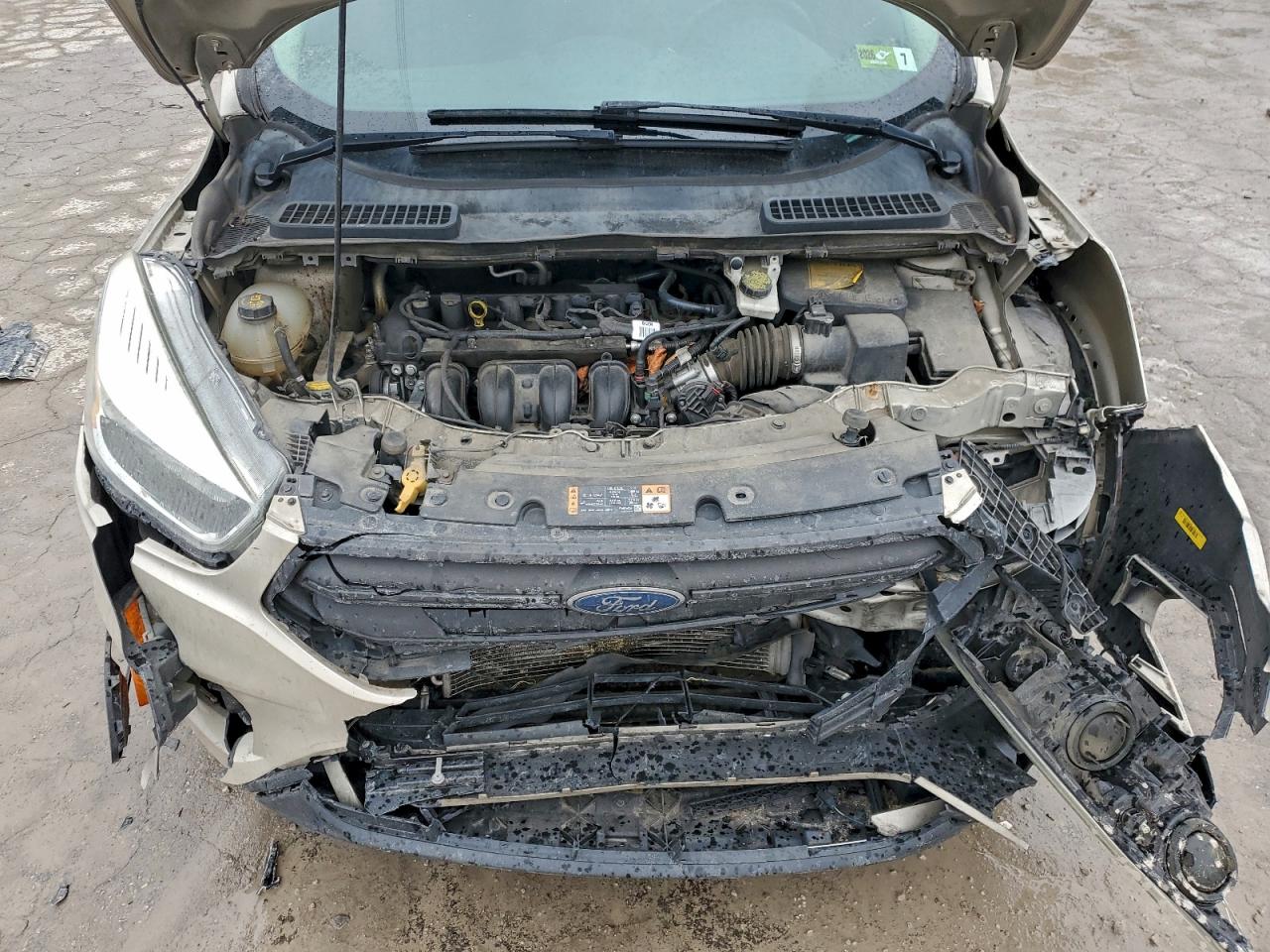 Ford Escape S Image 2