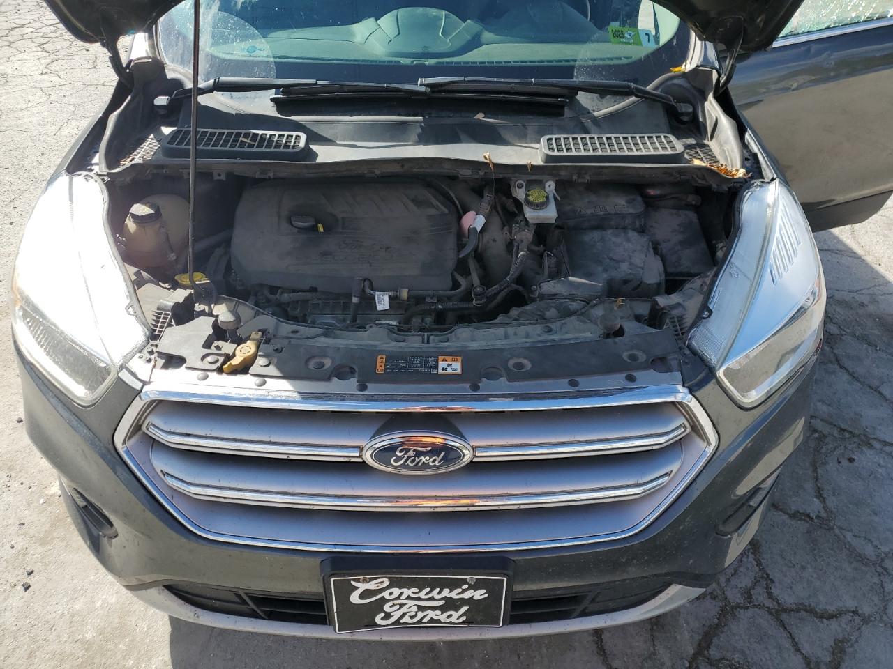 Ford Escape Se Image 11