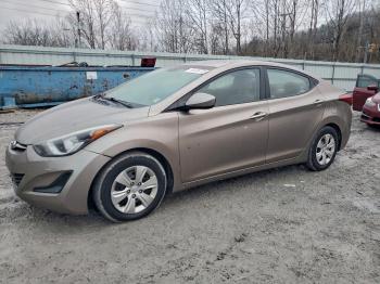  Salvage Hyundai ELANTRA