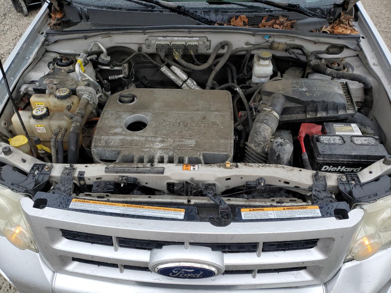 Ford Escape Hybrid Image 8