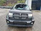 Dodge Nitro Heat Image 6