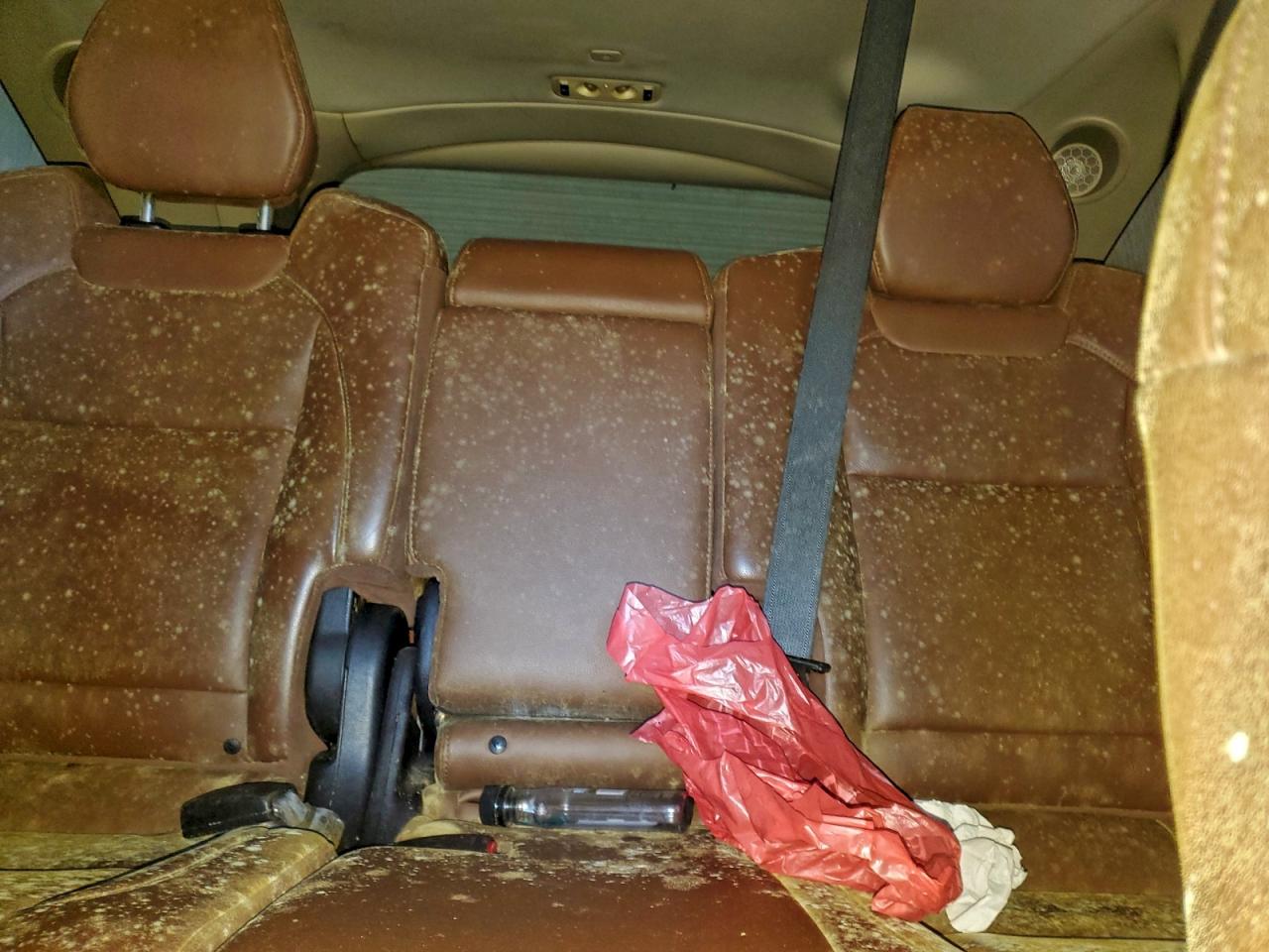 Acura MDX Technology Image 6