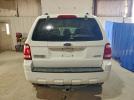 Ford Escape Xlt Image 5