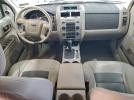 Ford Escape Xlt Image 8