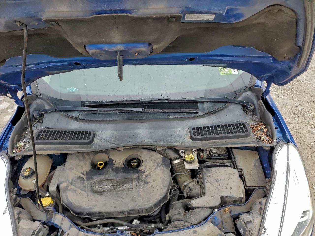 Ford Escape Titanium Image 12