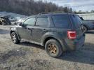 Ford Escape Xlt Image 8