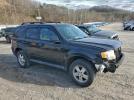 Ford Escape Xlt Image 3