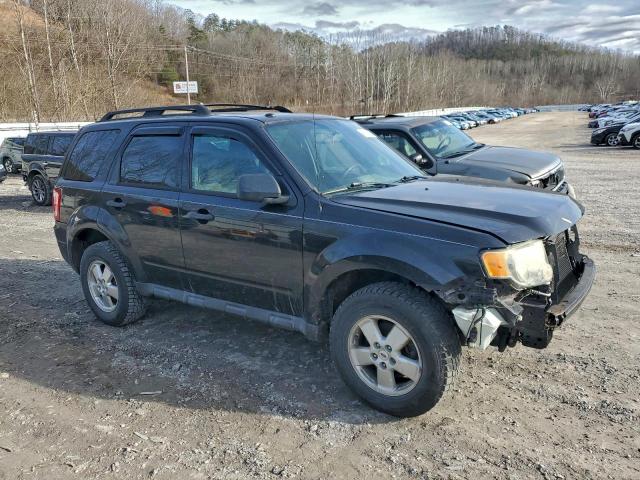 Ford Escape Xlt Image 3