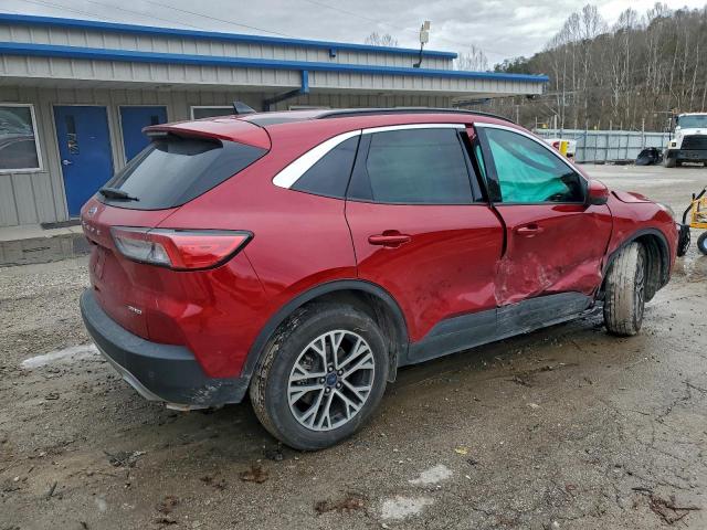 Ford Escape Sel Image 5