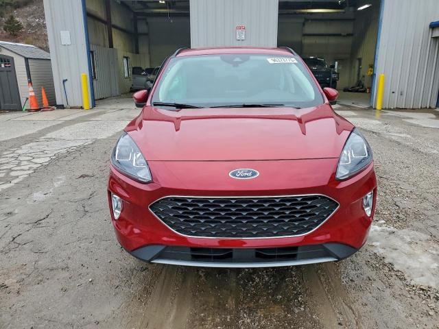 Ford Escape Sel Image 8