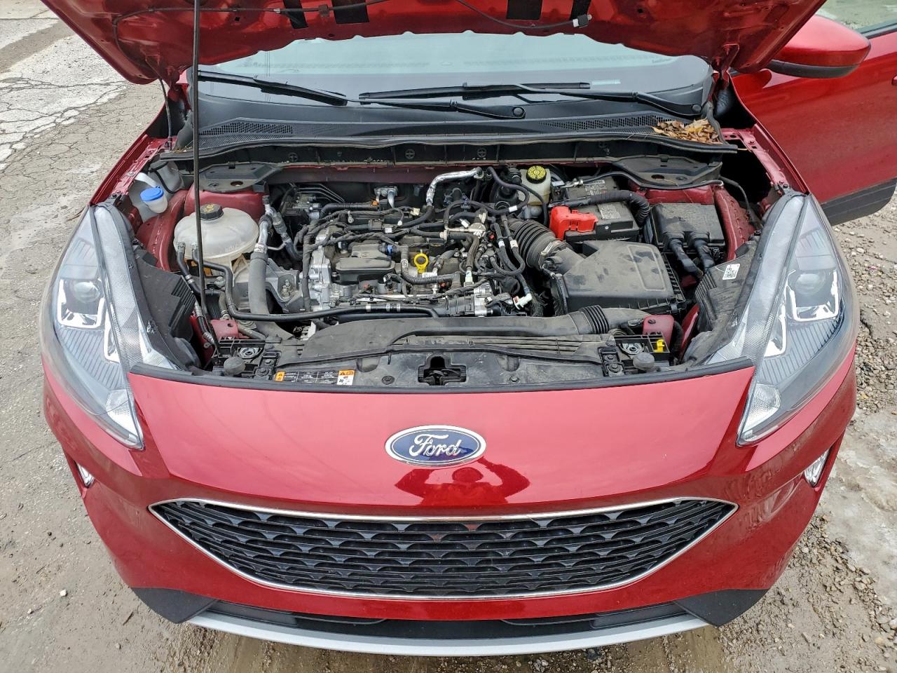 Ford Escape Sel Image 13